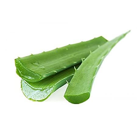 Alovera fresh 1 kg